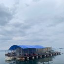 순정좌대 이미지