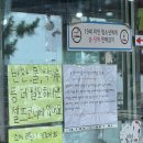 만선횟집 | 제부도 만선횟집 내돈내산 솔직후기