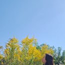 막스시오전주 이미지