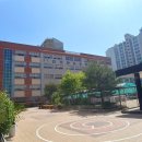 인천장도초등학교 이미지