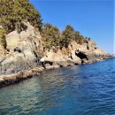 대항새바지 이미지