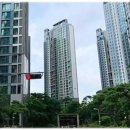 서초홍익공인중개사사무소 이미지