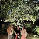 중앙물빛어린이공원 | 경복궁만 가면 손해 주차는어디에? 여의도 물빛공원+한강버스까지 다녀온 후기