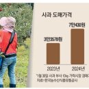 나린이네 사과 이미지