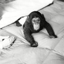 수화농장 이미지