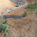 뜨락농원 이미지