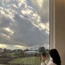 제주시절 이미지