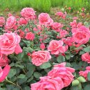 이든피부과의원 이미지