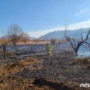 낙동강관리본부 대저생태공원 1 이미지