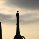 신두리해수욕장 이미지