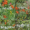 원통천 이미지