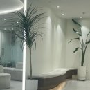 스노우의원 | 세종 스노우의원: 편평사마귀, 점 제거/CO2 병변 제거/스노우의원 세종점
