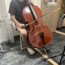 첼로(야간) 이미지