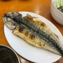 제주어항1950 이미지