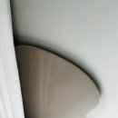 비비오네 이미지