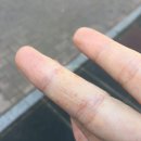 한국한센복지협회울산경남지부마산부설의원 이미지