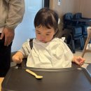 부제목장 | 지우네 여름휴가 2일차(신라모노그램강릉호텔 조식- 대관령양떼목장)