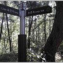 달성보 녹색길 이미지