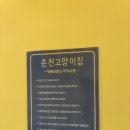 춘천 고양이집 이미지