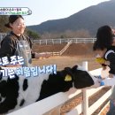 정우목장 이미지