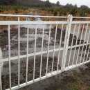 신풍농장 이미지