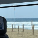 솔밭가든 | 속초고속버스터미널 주변 맛집 [솔밭가든막국수] 방문 후기