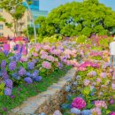 울산 장생포 - 고래고기 요리