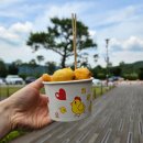 삼성 영덕연수원 1일차 - E동 배정, 강구항 동광어시장 대게 후기