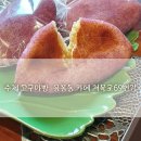 저불로 이미지