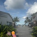 쿠키클럽 | 모벤픽 깜란 리조트 키즈 프로스램 리틀버드클럽 - 2편 쿠킹클래스 쿠키 만들기 &amp; 해변 캠프파이어 후기