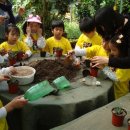 금릉초교(병설) 이미지