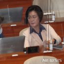 수영슈퍼 - 완도군 중앙길 52-4 | 수영슈퍼