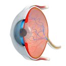 괴정동물병원 이미지