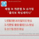 왁싱비왁싱B