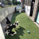 운학주유소 이미지