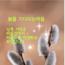 봄을 기다리는 마음 이미지