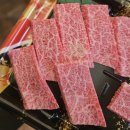 번창마트 | 대마도 슬로스 글램핑 : 비오는 날도 OK! 히타카츠 감성 숙소 후기 [2025년 4월 12일]