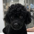 두마면 왕대리 275 이미지