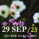 [0929'23] O 2023 귀여섬 코스모스 쑈(계속) 이미지