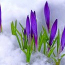 햇살좋은아침 이미지