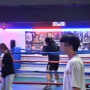 강성복싱체육관 이미지