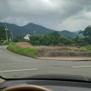 장흥비동돌담 이미지