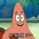 아이스스토리 이미지
