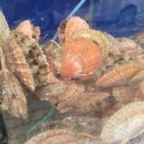 어촌해물탕 이미지