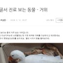 로얄종합동물병원
