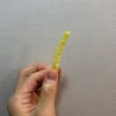 GS25원당조이빌 | 오감자 버갈튀 버터갈릭 편의점 신상 가격 칼로리 내돈내산 맛 후기