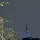 레드호스텔 | 서울 명동 충무로 익스테이 맨션 충무로 프리미엄 4인｜남산 타워뷰, 가성비 숙소, 남산공원, 베기지...