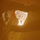 바다속PC게임 이미지