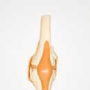 이웃집한의원 용인동백점 이미지