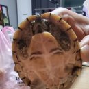 10급 돌파 이미지